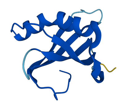 CSTA 3D structure