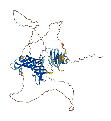 KNG1 3D structure