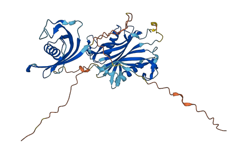 Map1 3D structure
