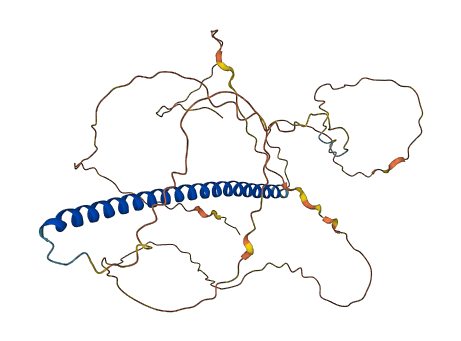 FOS 3D structure