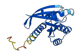 NRAS 3D structure