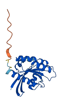 HRAS 3D structure