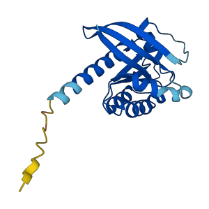 KRAS 3D structure