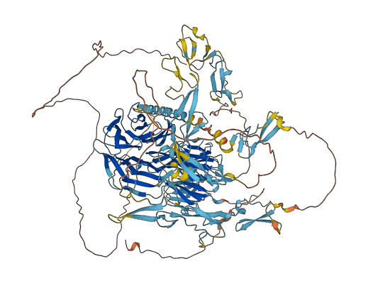 EGF 3D structure