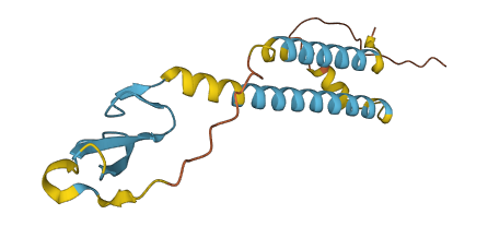 TGFA 3D structure