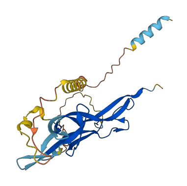 NGF 3D structure