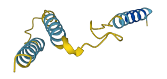 GNRH1 3D structure