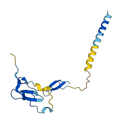 Wap 3D structure