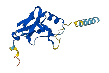OXT 3D structure