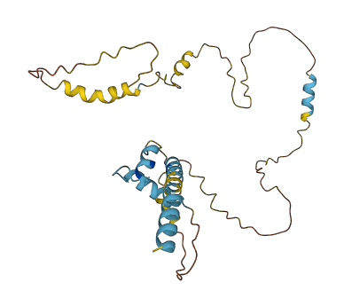 PENK 3D structure