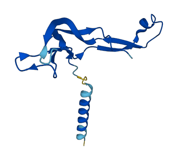 CGA 3D structure