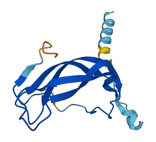 TSHB 3D structure