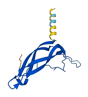 FSHB 3D structure