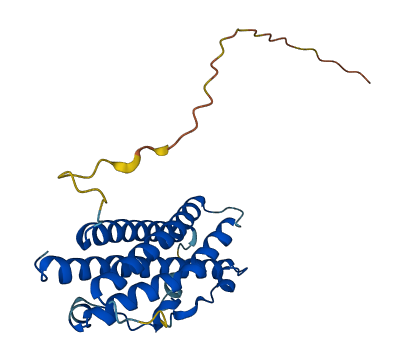 PRL 3D structure