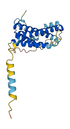 GH2 3D structure
