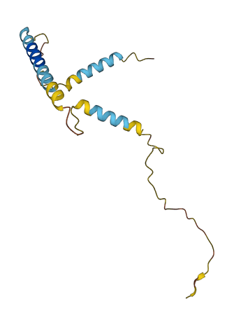 CALCA 3D structure
