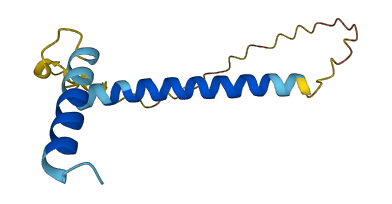 PTH 3D structure
