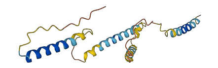 VIP 3D structure