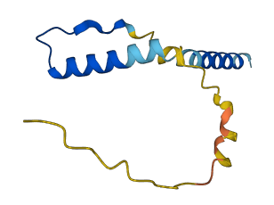 PPY 3D structure