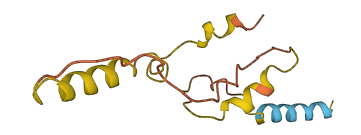 Ins1 3D structure