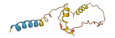 Ins2 3D structure
