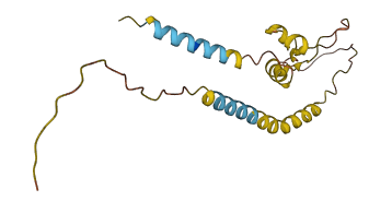 IGF2 3D structure