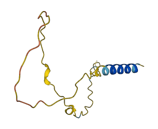 GAST 3D structure