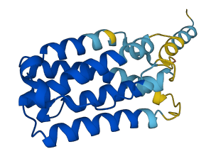 IFNA1 3D structure