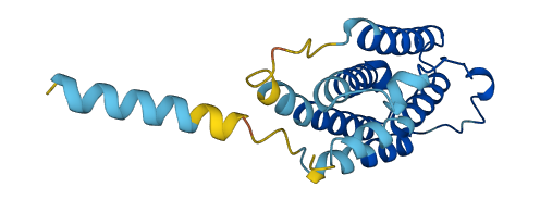 IFNA10 3D structure