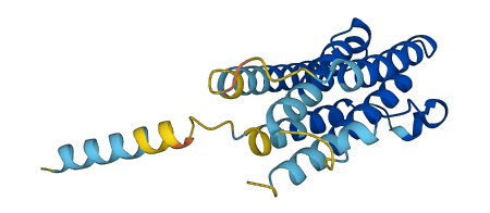 IFNA21 3D structure