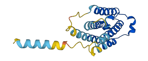 IFNA14 3D structure