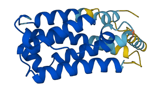 IFNA17 3D structure