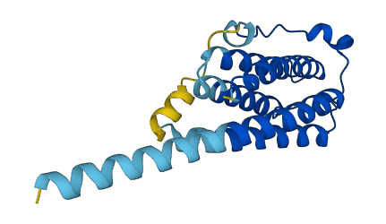IFNB1 3D structure