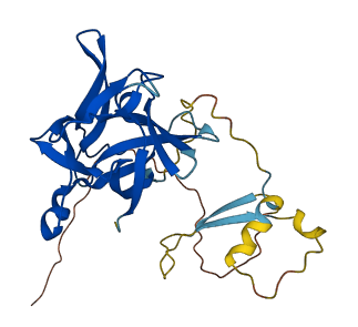 IL1B 3D structure