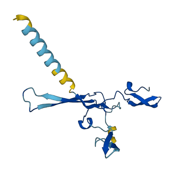 JCHAIN 3D structure
