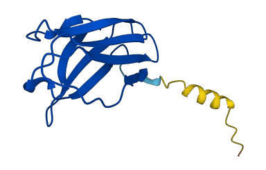 IGKV1-33 3D structure