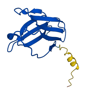IGKV1-39 3D structure
