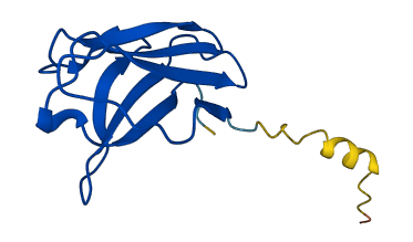 IGKV1-17 3D structure