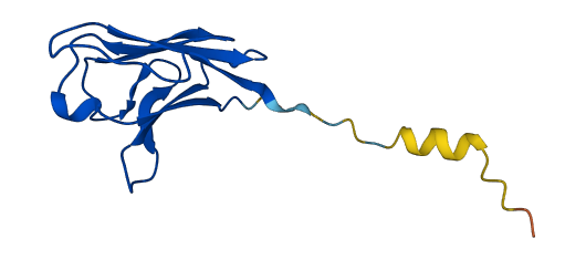IGKV1-5 3D structure