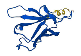 IGKV2D-40 3D structure