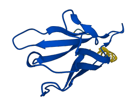 IGKV2D-28 3D structure