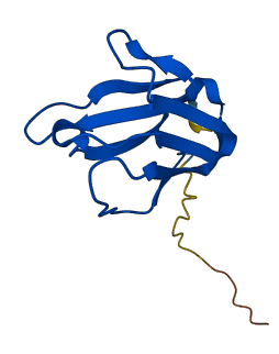 IGKV3-20 3D structure