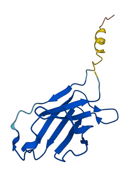 Gm5153 3D structure