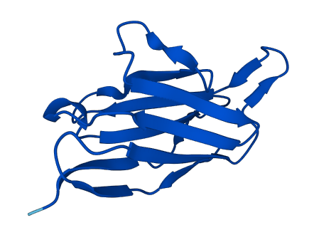 Igkv7-33 3D structure