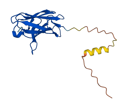 Igk-V19-17 3D structure