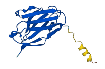 Gm5571 3D structure