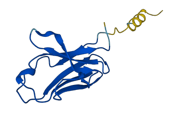 Gm10881 3D structure