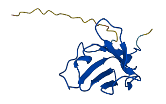 IGLV1-44 3D structure