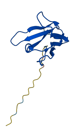 IGLV1-47 3D structure