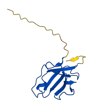 IGLV2-14 3D structure